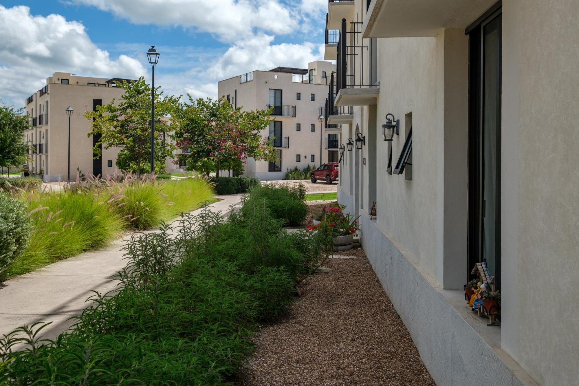 Itzae La Luminaria San Miguel De Allende Dog Friendly Apartment Exterior foto